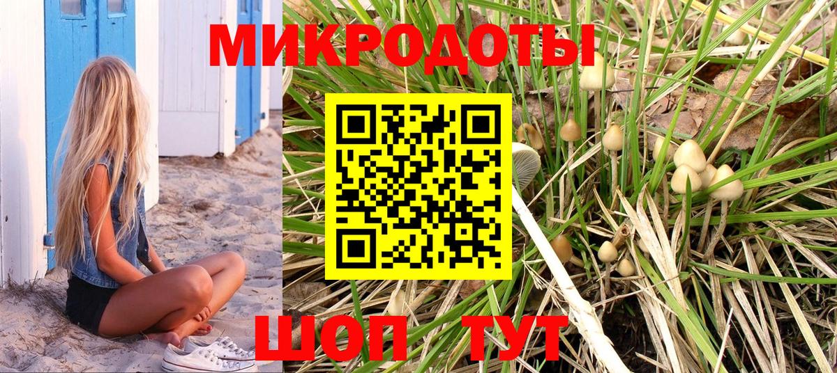Галлюциногенные грибы MAGIC MUSHROOMS Городец